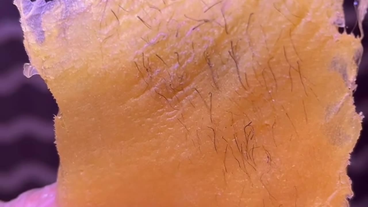 Self Underarm Waxing with Sexy Smooth Golden Allure Hard Wax | @lizssan27
