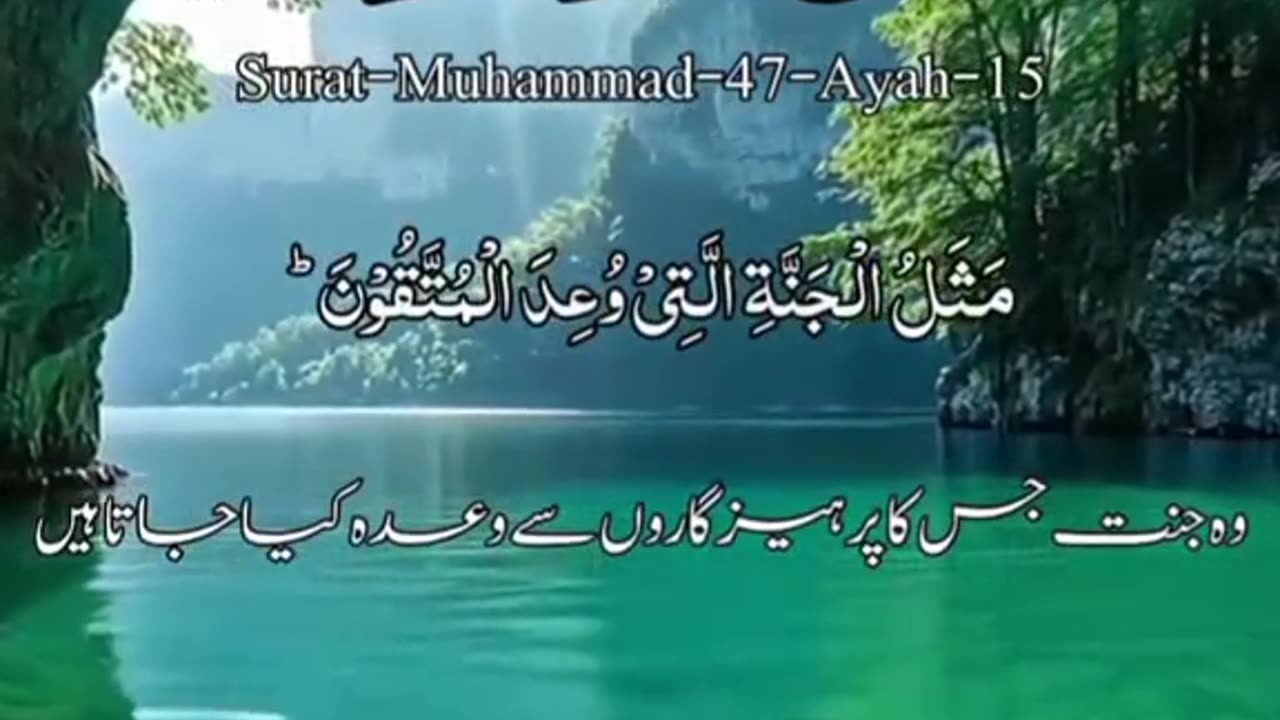 Beshak Subahanallah ♥️✨🕊️💯