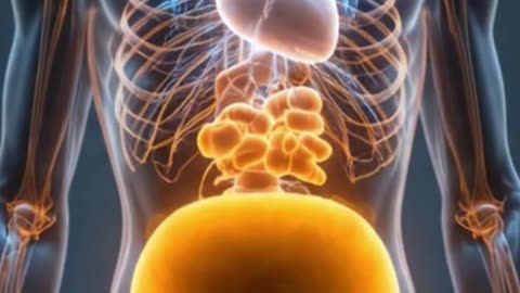 3 Hidden Killers of Fat Loss (No One Talks About This)