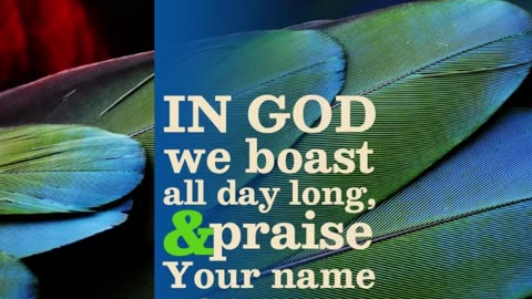 Prayer of Praise #youtubeshorts #grace #jesus #mercy #faith #fyp #trust #blessed #gifts #praise #joy