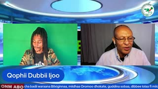 Qophii Dubbii Ijoo ONM-ABO Sadaasa 7-2025 itti dhiyaadhaa!