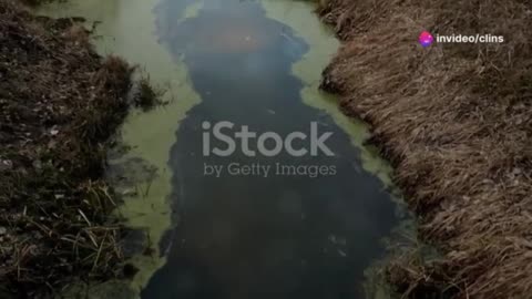 Mission Possible - Trout Lake Restoration