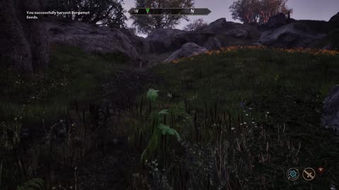 Errands for the Errand Boy, Savior of Kvatch!