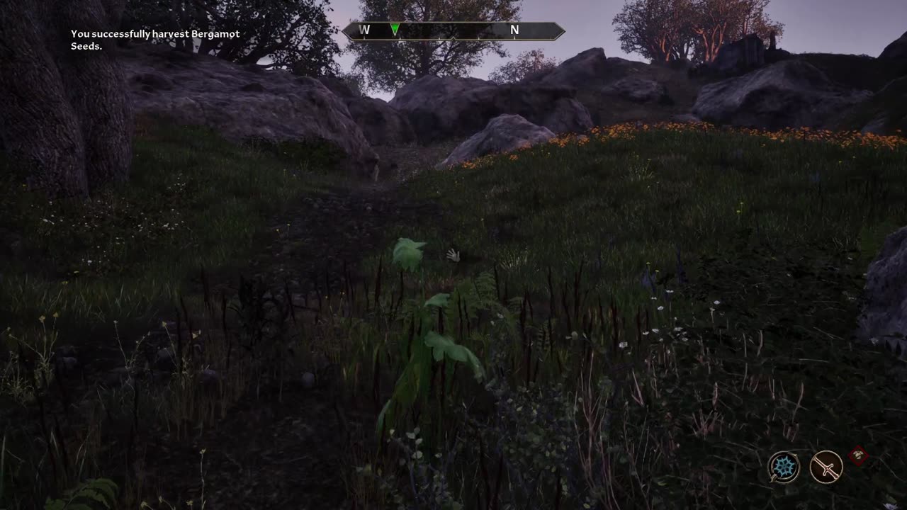 Errands for the Errand Boy, Savior of Kvatch!