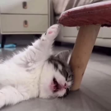 Pain: 0% Drama: 100%