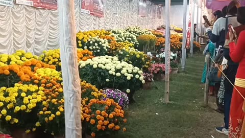 💐💐💐💐💐