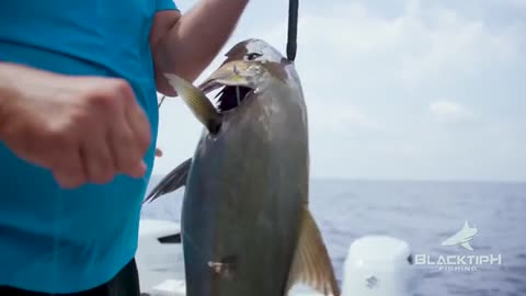 Tunas, Sailfish, Jacks and Dolphin Fishing_part2