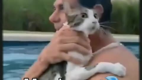 Gato hablando espanol_De Todo un Poco