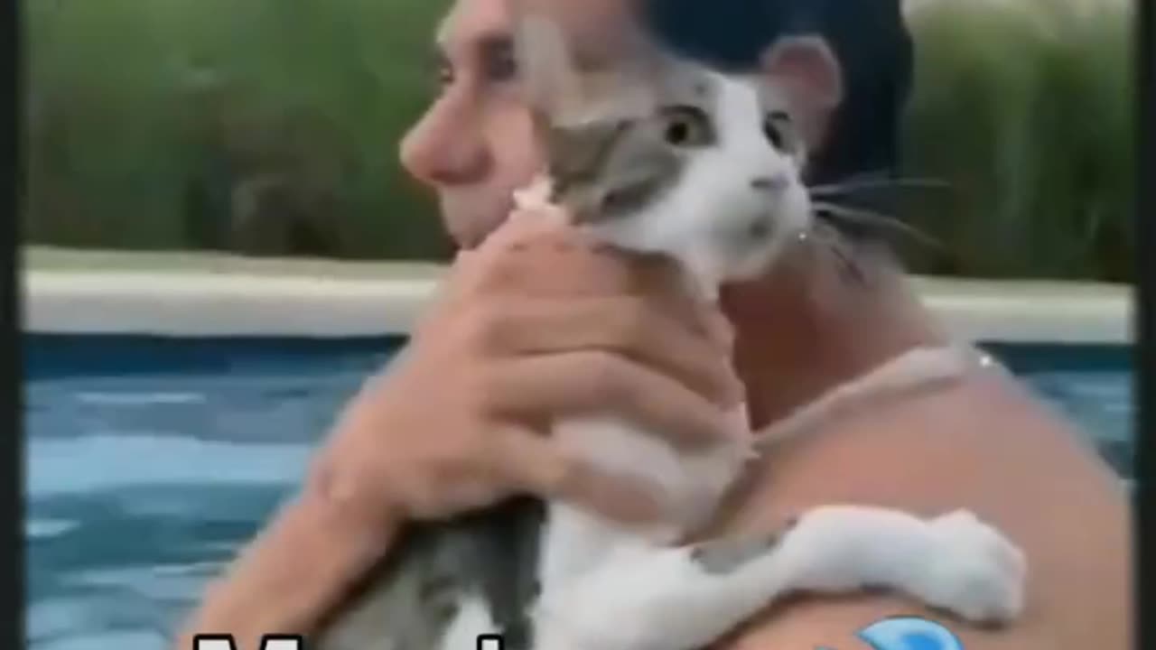 Gato hablando espanol_De Todo un Poco