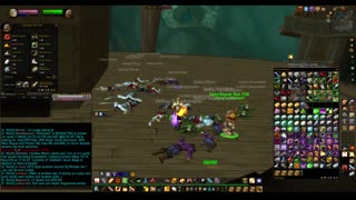 Turtle wow - Dead Mines - Paladin POV