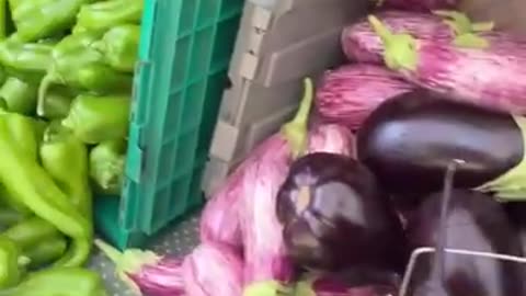 🍆 Did you know eggplants can actually boost metabolism?