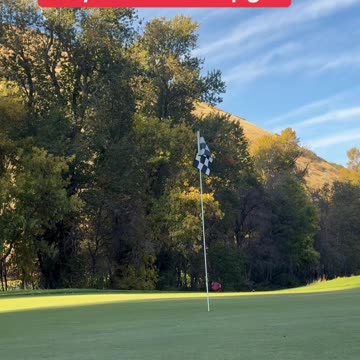 Day 137 road to pga tour