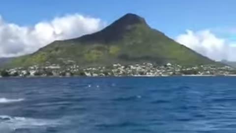Ocean Trash