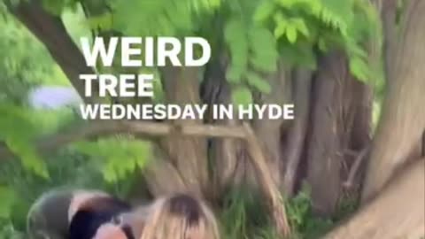 Tree Climber AllisonWanderland3 Part 1