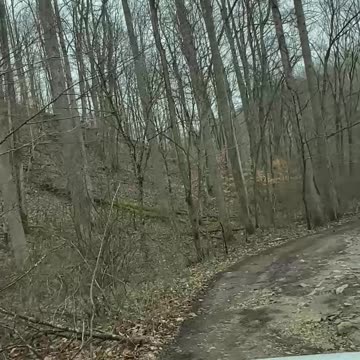 Off-Roading Adventure Deep in the Muddy Woods 2h #jeep #jeepwrangler #offroad