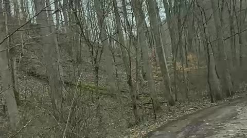 Off-Roading Adventure Deep in the Muddy Woods 2h #jeep #jeepwrangler #offroad