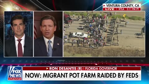 BREAKING: Chaos erupts as feds raid pot farm allegedly employing illegal workers