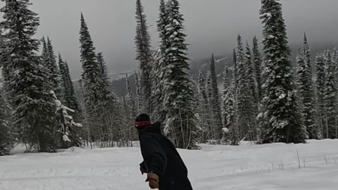 New Year, Same Shred