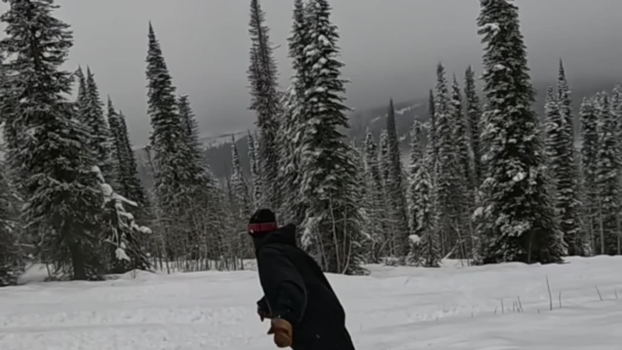 New Year, Same Shred