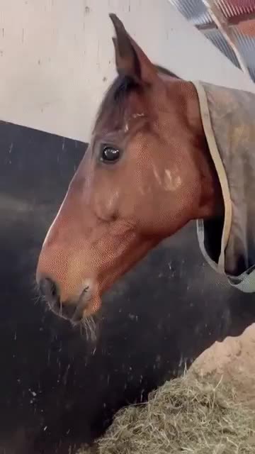 When you are unable to join in the race