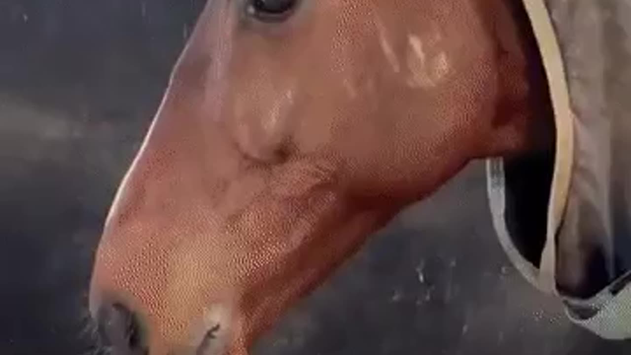 When you are unable to join in the race