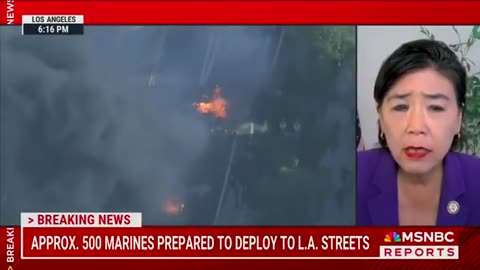 🚨 California Rep Judy Chu says LAPD has everything under control as MSNBC