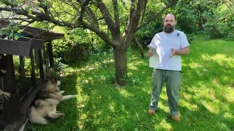 Белият дом очаква тежък комбиниран удар срещу Украйна – 08.06.2025