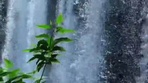 True Definition Of Nature