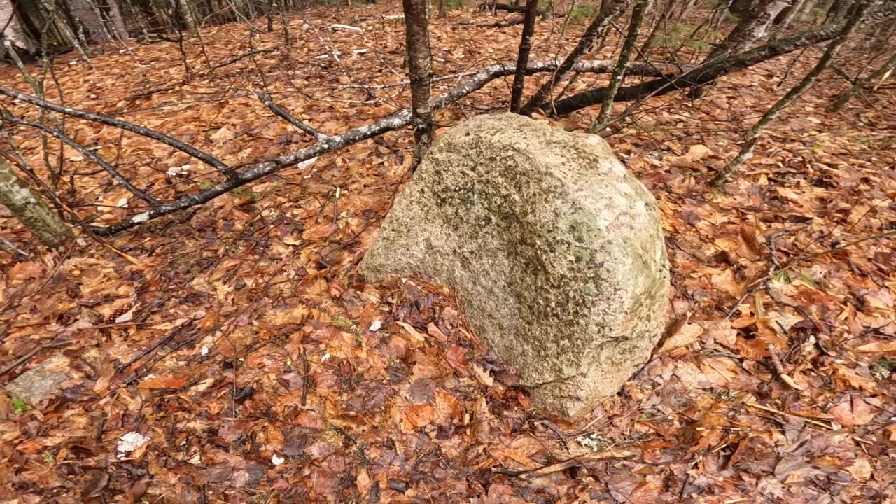 Rad Rock