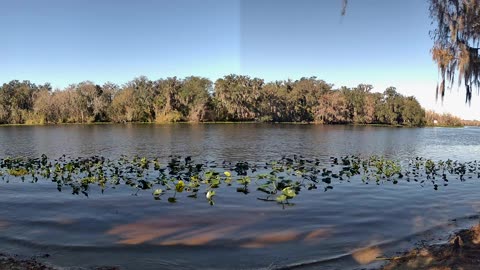 Riverview Time-Lapse: St. John’s Tranquil Tides (Jan 16, 2026)