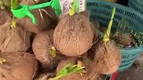 This Coconut Grows a Mysterious Sponge Inside!