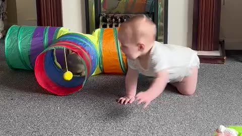 Baby Giggles At Funny Bunny