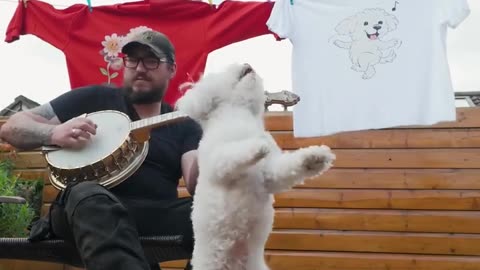 😂🥁 Banjo? He Is The Beat! Insane Rhythm Animal | FunFM