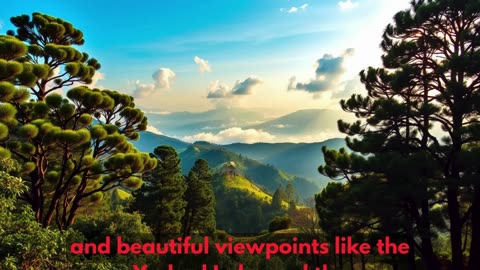 Discover Tamil Nadu's 3 Most Peaceful Hill Stations | Hidden Gems for a Relaxing Vacation