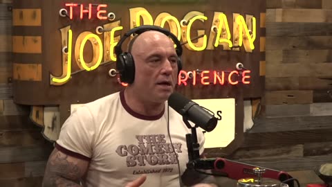 Joe Rogan Experience #2329 - Ehsan Ahmad