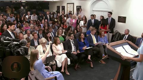 The Havi Daily Show