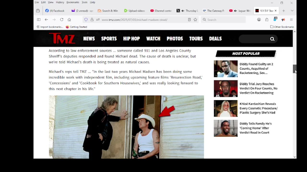 Kill Bill' Star Michael Madsen Dead At 67