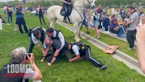 Loomer: Leftist Protester at Washington Monument Arrested for Assaulting Elderly Trump Supporter