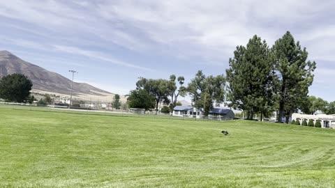 Yuma makes the catch in Winnemuca 290842098
