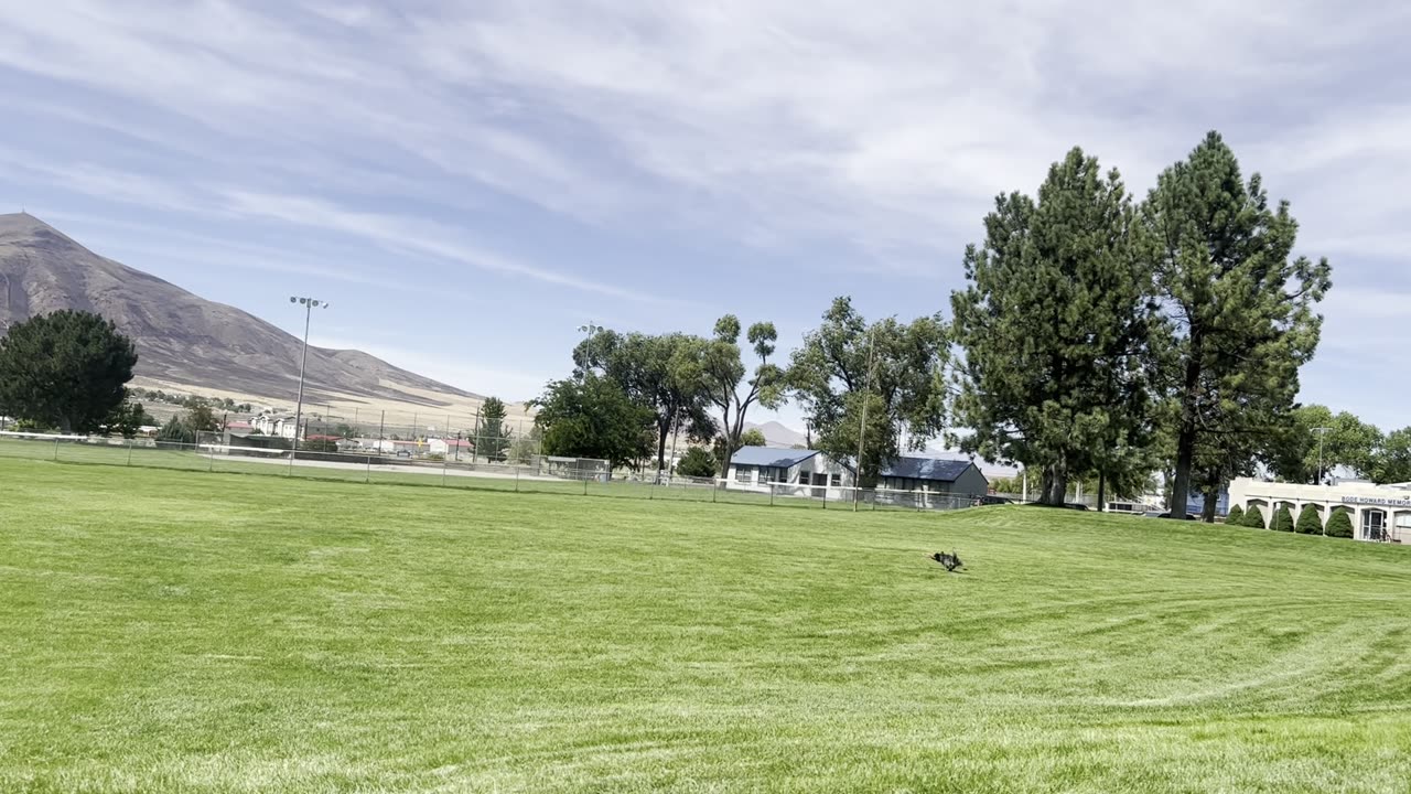 Yuma makes the catch in Winnemuca 290842098