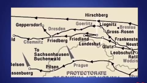 Bergen-Belsen Camp: What Really Happened