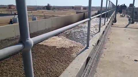 HWWTP