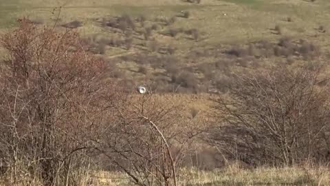 Isus Hristos NU a făcut alcool în Ioan 2, Argumente Solide