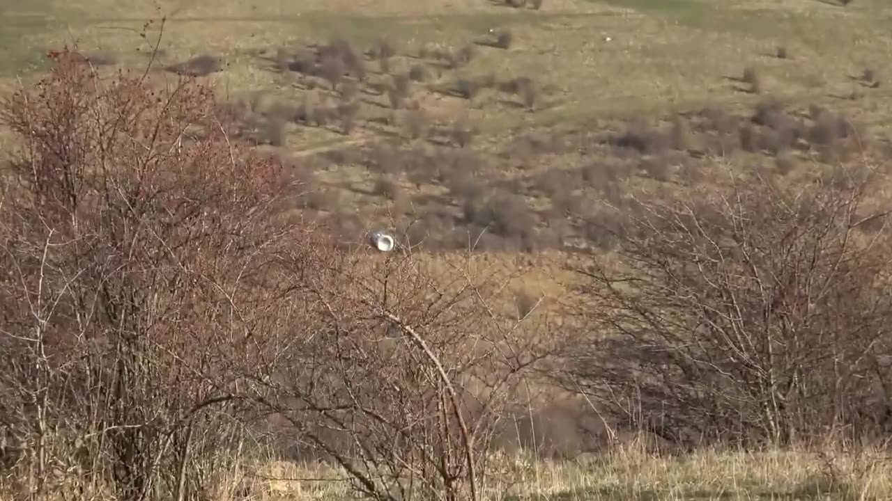 Isus Hristos NU a făcut alcool în Ioan 2, Argumente Solide
