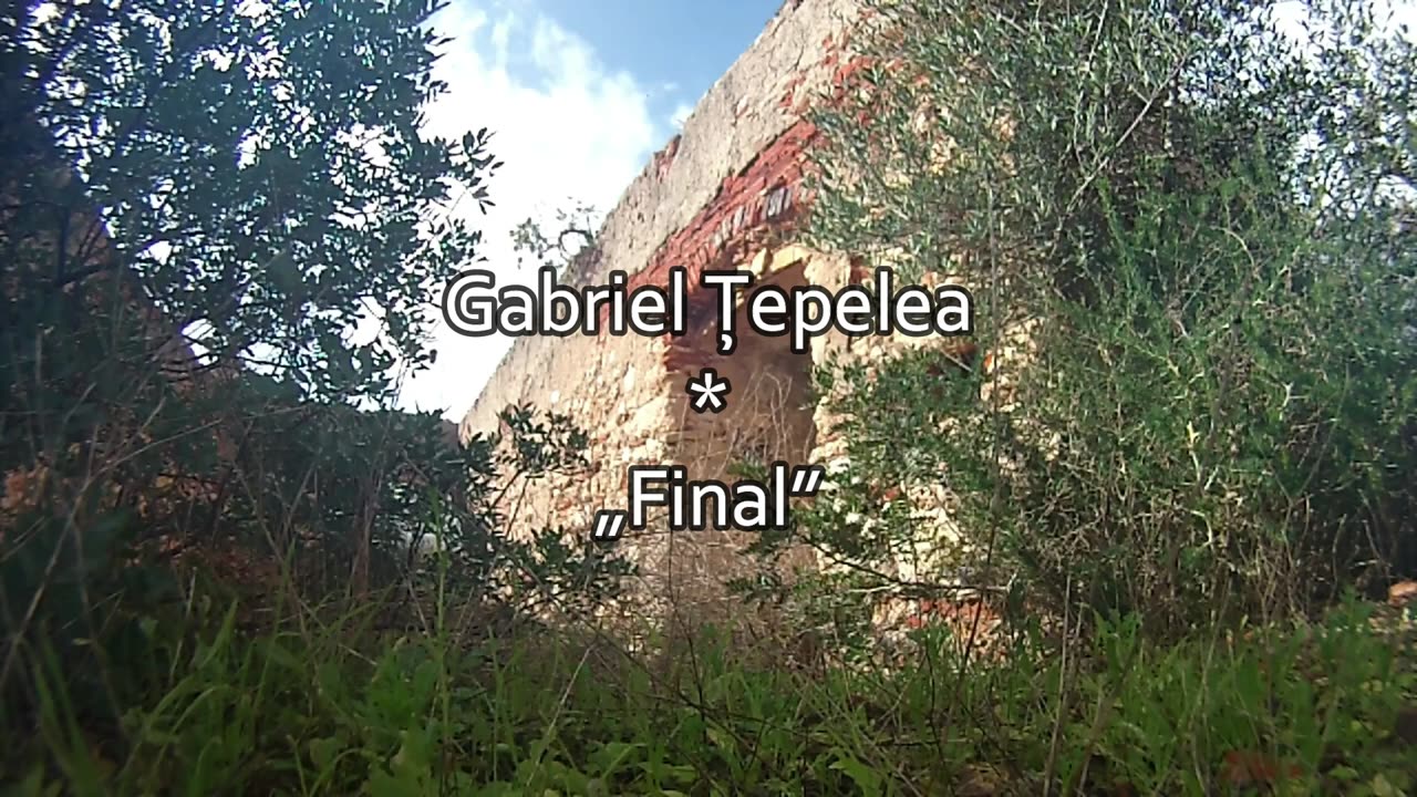 Gabriel Țepelea - Final