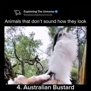 Follow (us) to learn something NEW everyday 🧠💫