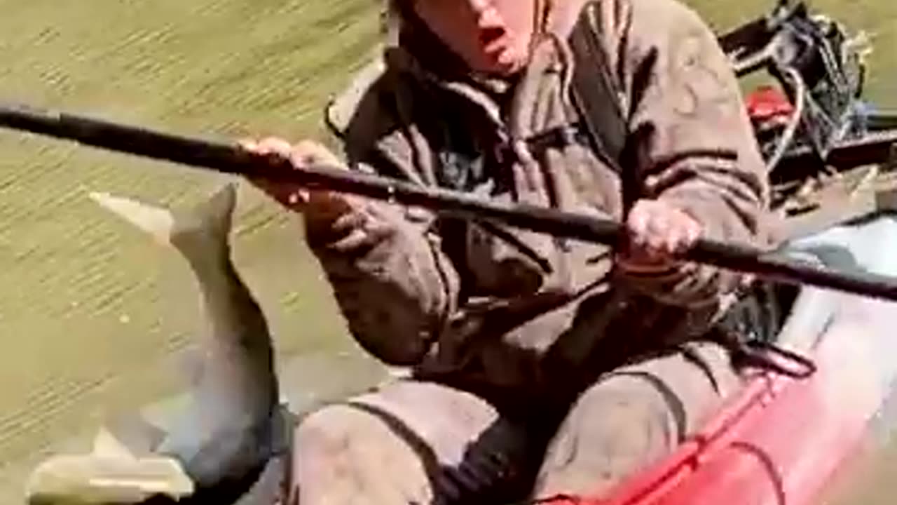 Should’ve Paid for Ad-Free! 🎣😂💥 #Fish #Funny #Memes"