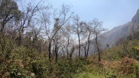 The Jungle Route (down) - Mulanje Hiking