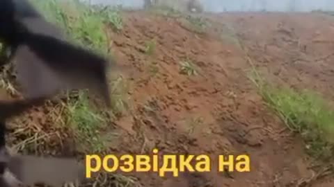 🐕‍🦺🇺🇦 Ukraine Russia War | Ukrainian Combat Dog on Duty Guards the Frontline | RCF