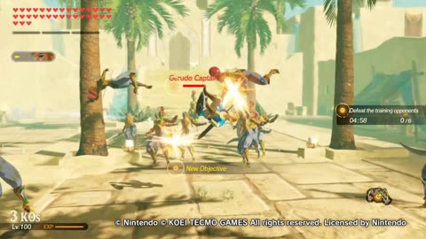 Hyrule Warriors Age Of Calamity Guerreros De Hyrule La Era De Calamidad Daily Drills Gerudo